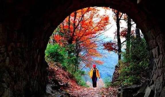 原创 周小柚坐车6小时只为解锁这个大山里的“五古”小村，真的太美了9