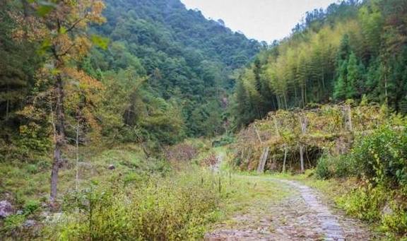 原创 周小柚坐车6小时只为解锁这个大山里的“五古”小村，真的太美了10