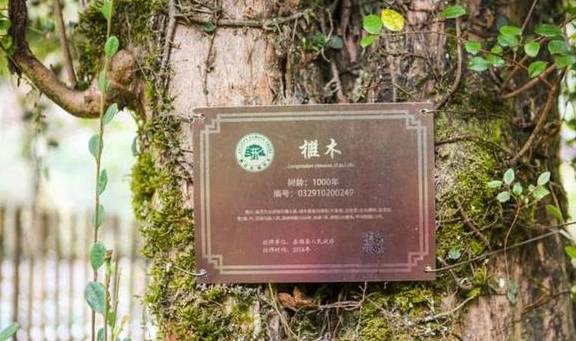 原创 周小柚坐车6小时只为解锁这个大山里的“五古”小村，真的太美了12