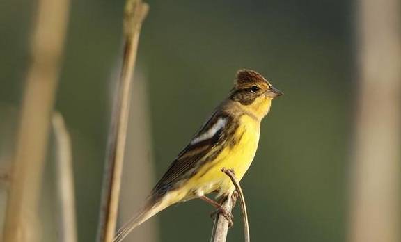 原创 房地产市场有了回暖的迹象!现在该不该出手买房?是好时期吗?3