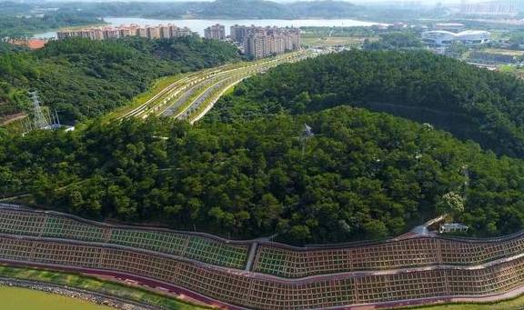 原创 房地产市场有了回暖的迹象!现在该不该出手买房?是好时期吗?4