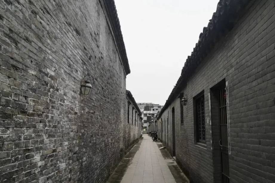 原创 “发现泰兴之美”长三角广电旅游联盟媒体采风9