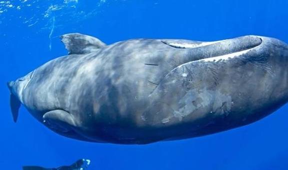 原创 25个不可错过的目的地,中国的这个地方也上榜了4