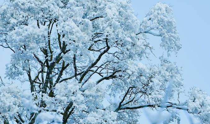 原创 老君山：追梦你的白雪，你却馈赠天宫云海6