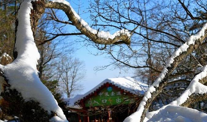 原创 老君山：追梦你的白雪，你却馈赠天宫云海9