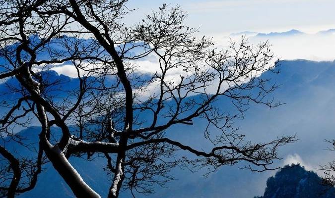 原创 老君山：追梦你的白雪，你却馈赠天宫云海17