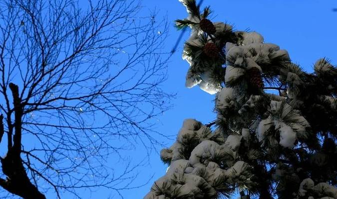 原创 老君山：追梦你的白雪，你却馈赠天宫云海19