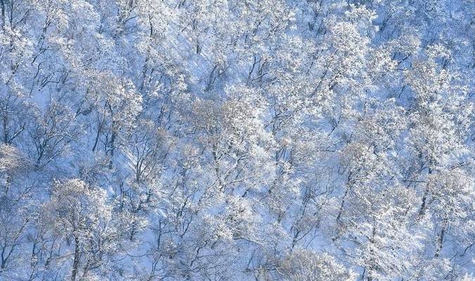 原创 老君山：追梦你的白雪，你却馈赠天宫云海20