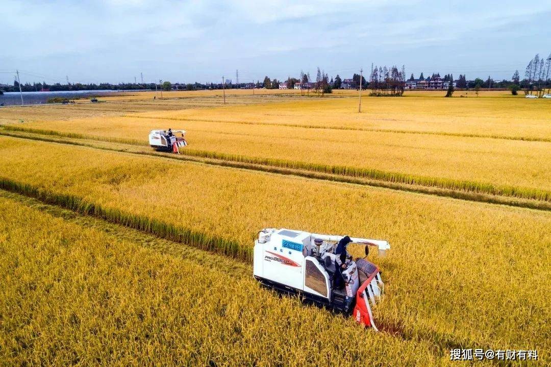 原创 一个月前,一些抢购囤积生活物品的人,现在都是什么心情?2