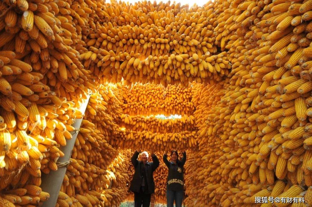 原创 一个月前,一些抢购囤积生活物品的人,现在都是什么心情?4