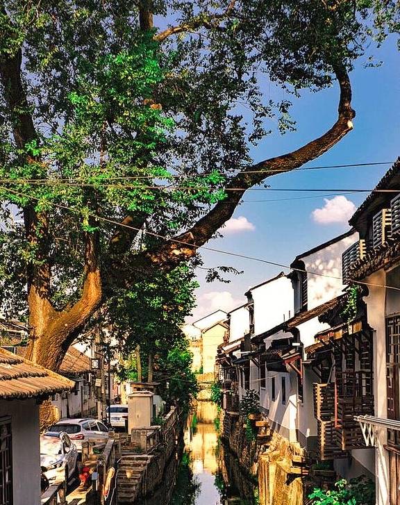 原创 为何中国人都有一个苏州行的旅行梦想，感觉一生不去一次苏州遗憾13