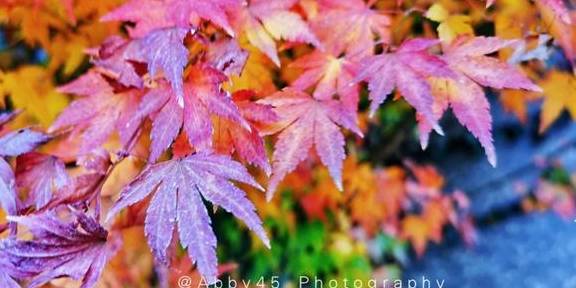 原创 希腊太远，洱海很近，跟随《妻子的浪漫旅行》去大理“圣托里尼”9