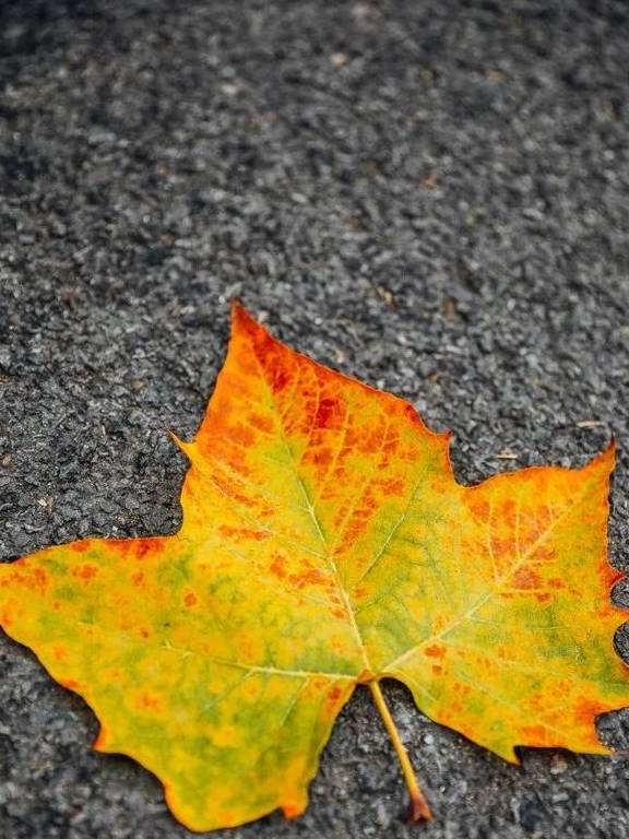 原创 如果冬天有颜色,那一定在杏花公园3