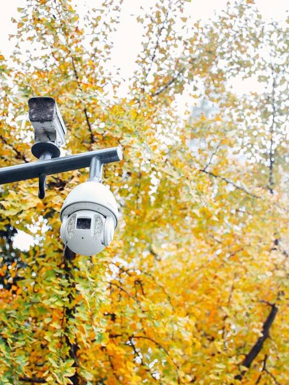 原创 如果冬天有颜色,那一定在杏花公园6