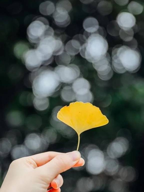 原创 如果冬天有颜色,那一定在杏花公园9