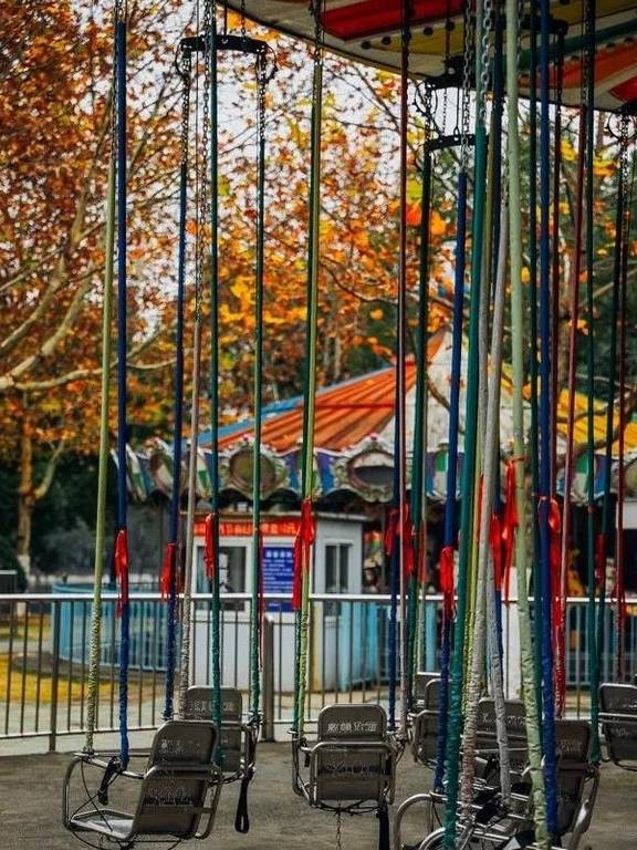 原创 如果冬天有颜色,那一定在杏花公园20