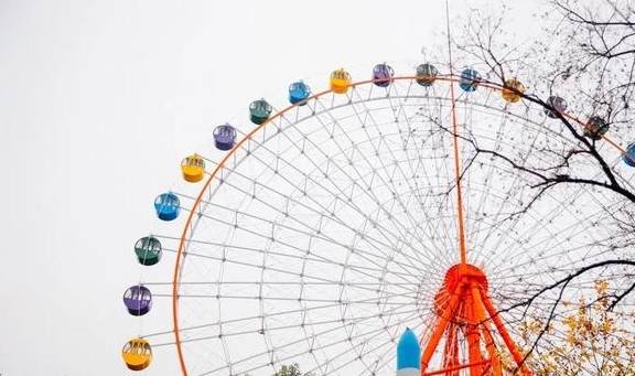 原创 如果冬天有颜色,那一定在杏花公园22