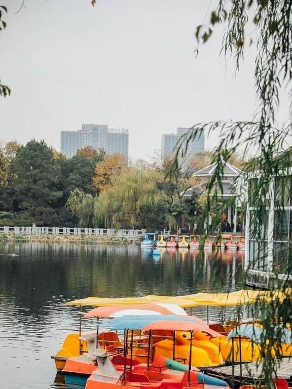 原创 如果冬天有颜色,那一定在杏花公园25