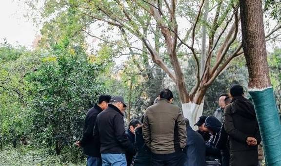 原创 如果冬天有颜色,那一定在杏花公园29