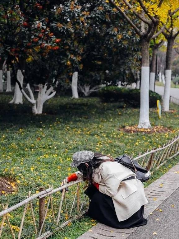 原创 如果冬天有颜色,那一定在杏花公园30