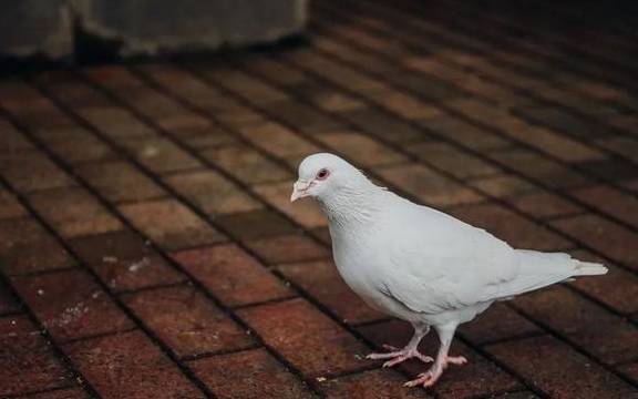 原创 如果冬天有颜色,那一定在杏花公园36