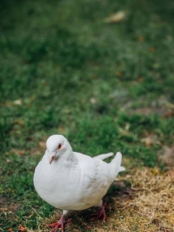 原创 如果冬天有颜色,那一定在杏花公园37