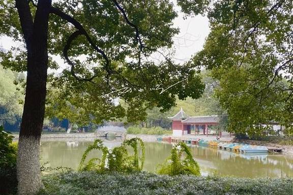 原创 全国最大的中山公园,就在湖北荆州,但为什么有游客说名字错了?6