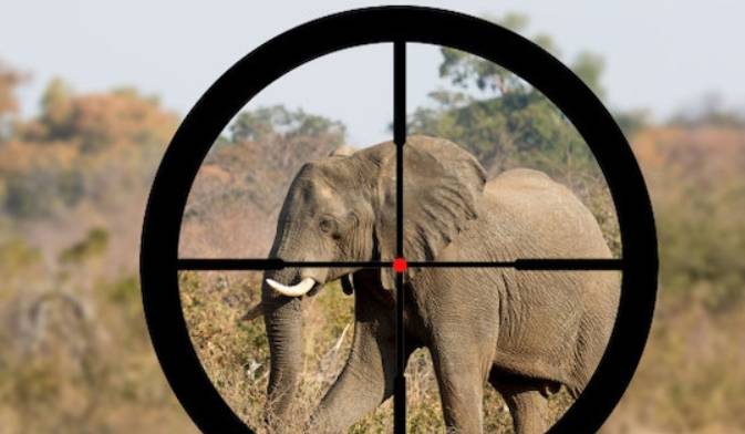 原创 广西新建一条高速,改善沿线交通条件,打造沿线精品旅游品牌1