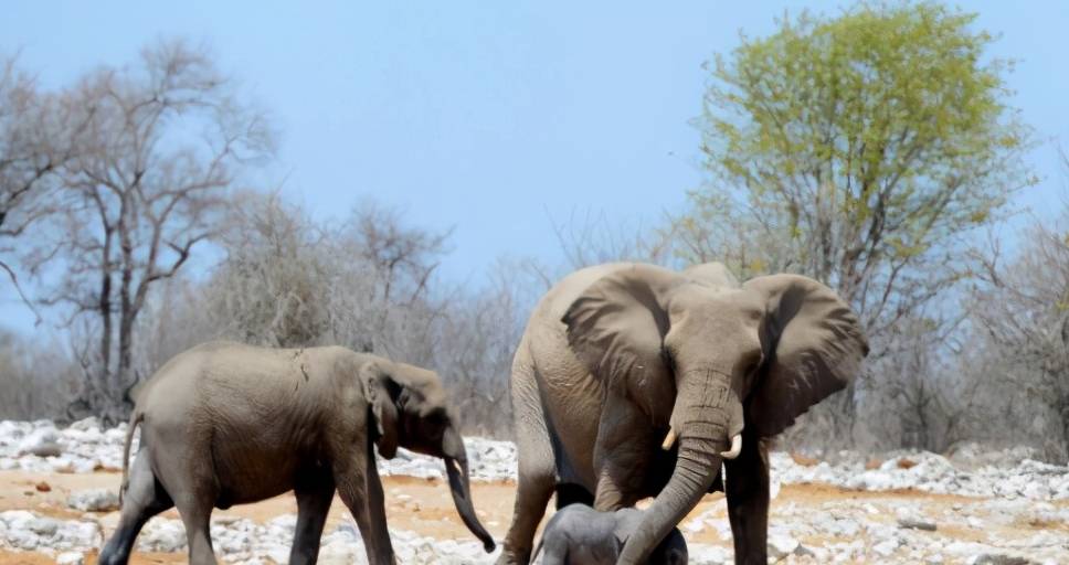 原创 广西新建一条高速,改善沿线交通条件,打造沿线精品旅游品牌2
