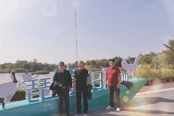 原创 琵鹭归来：你追梦红树林 唤醒骨子里的地标，原创唯美诗歌2