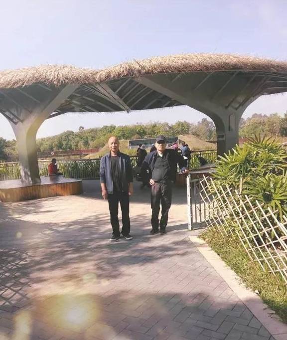 原创 琵鹭归来：你追梦红树林 唤醒骨子里的地标，原创唯美诗歌4