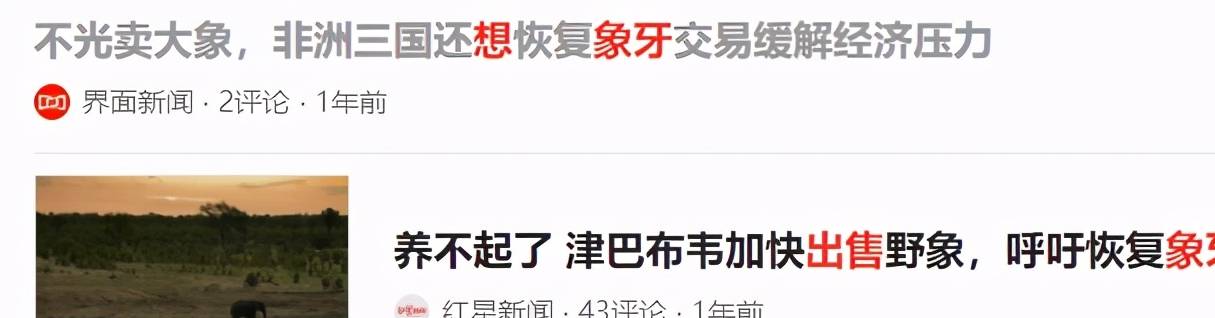 原创 这个国家要拍卖170头野生大象,全世界都能买6