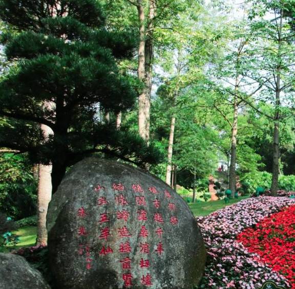 原创 1人成行,走读广州新旧中轴,叹繁华变迁1