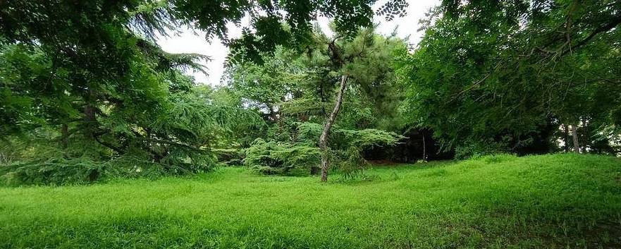 原创 北京动物园游园回顾,火热的盛夏养眼的颜色1