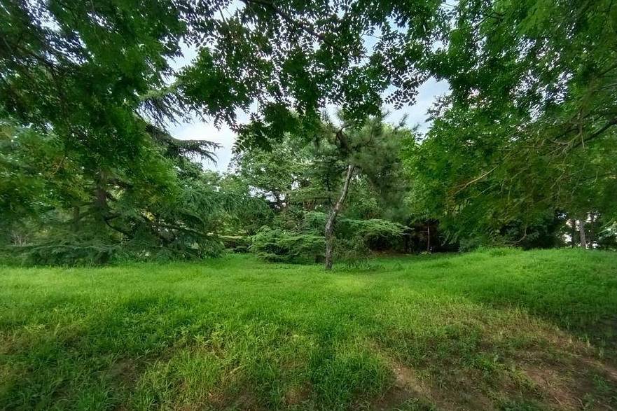 原创 北京动物园游园回顾,火热的盛夏养眼的颜色2