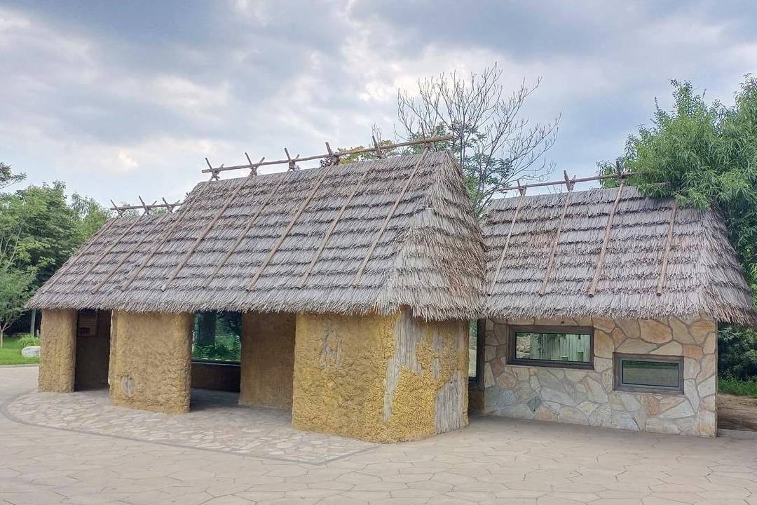 原创 北京动物园游园回顾,火热的盛夏养眼的颜色5