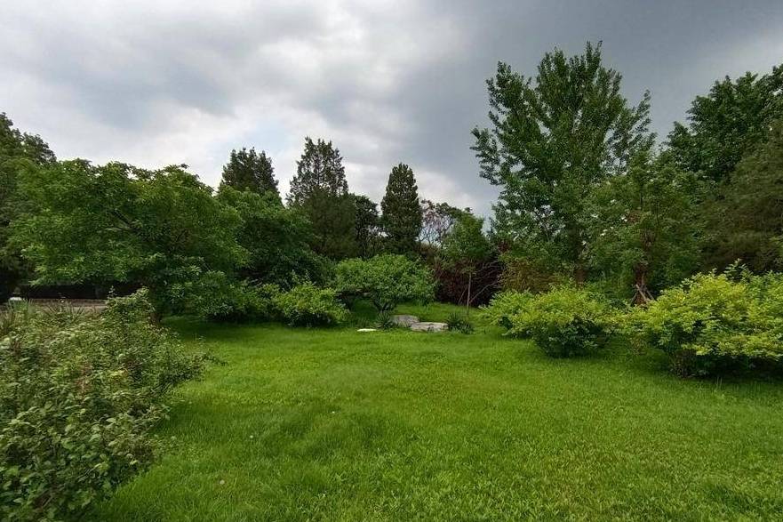 原创 北京动物园游园回顾,火热的盛夏养眼的颜色6