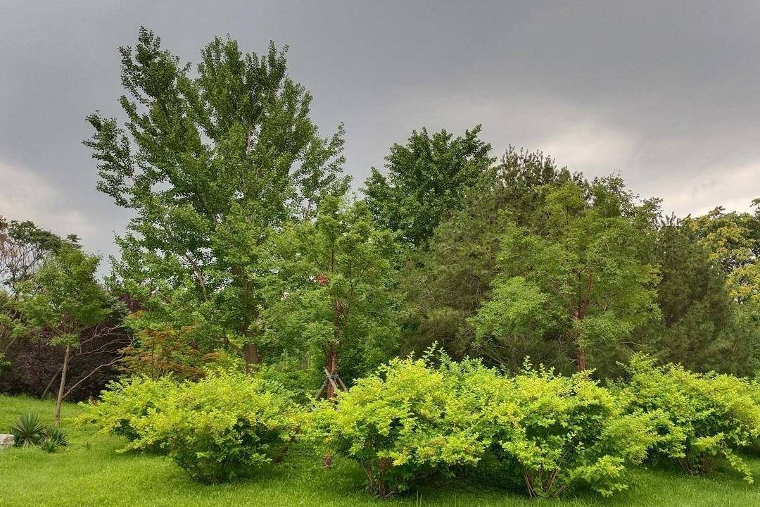 原创 北京动物园游园回顾,火热的盛夏养眼的颜色7