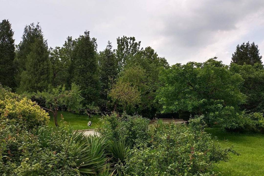 原创 北京动物园游园回顾,火热的盛夏养眼的颜色8