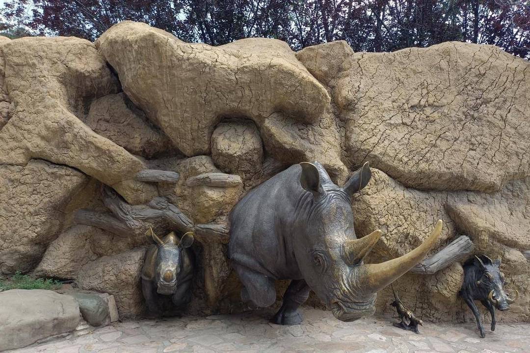 原创 北京动物园游园回顾,火热的盛夏养眼的颜色9