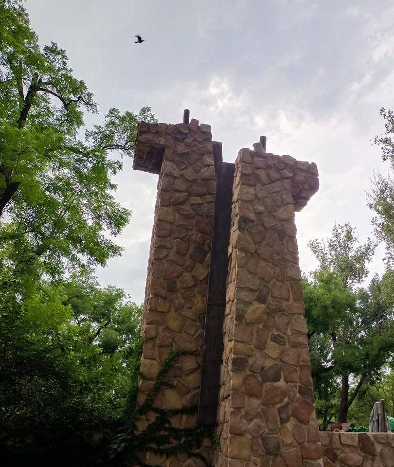 原创 北京动物园游园回顾,火热的盛夏养眼的颜色12