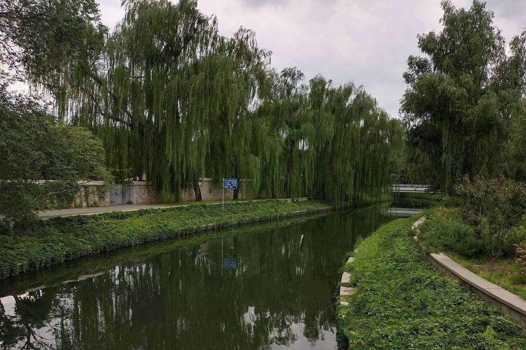 原创 北京动物园游园回顾,火热的盛夏养眼的颜色10