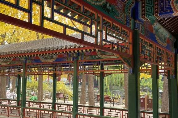 原创 这里是北京|中山公园内长廊配银杏,越看越好看2