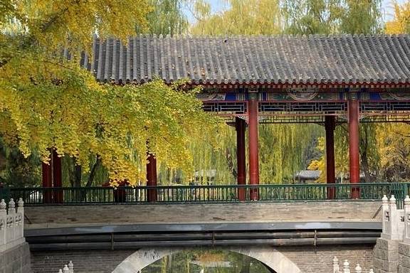 原创 这里是北京|中山公园内长廊配银杏,越看越好看6