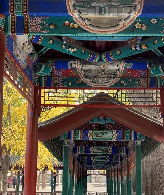 原创 这里是北京|中山公园内长廊配银杏,越看越好看11