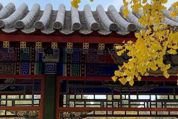 原创 这里是北京|中山公园内长廊配银杏,越看越好看19