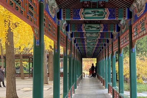 原创 这里是北京|中山公园内长廊配银杏,越看越好看21