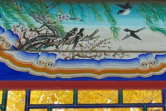 原创 这里是北京|中山公园内长廊配银杏,越看越好看23