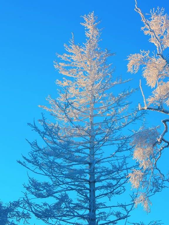 原创 「盘点」吉林四大知名滑雪场,滑雪还能赏雾凇,南方人从来没见过11