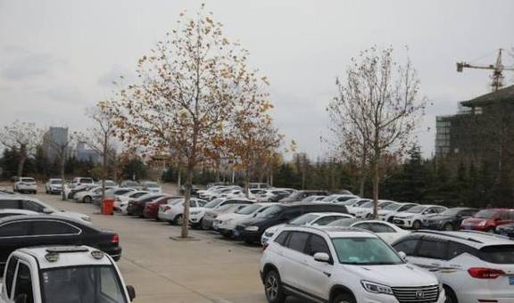 原创 门票省近百元,威海A级景区免门票第一天尝鲜的游客不少4